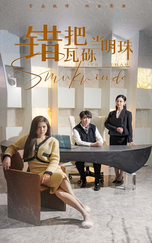 错把瓦砾当明珠（55集） 全集都在这里了