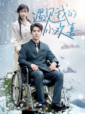 遇见我的小欢喜（70集） 短剧精彩绝伦