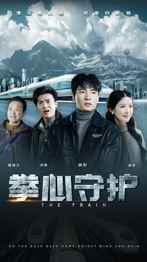 拳心守护（28集） 精彩短剧看不停