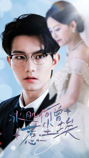 冰肌何曾惹尘埃（60集）演员表