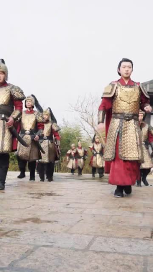 我的姐姐是将军（80集）古装热门短剧