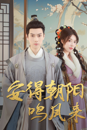 安得朝阳鸣凤来（32集）全集下载