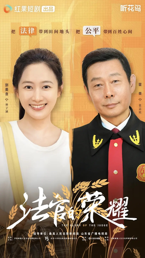 法官的荣耀（5集全）大结局一气呵成