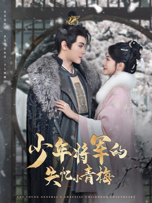 少年将军的失忆小青梅（100集）在线播放