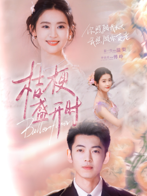 桔梗盛开时（92集）精彩短剧来了