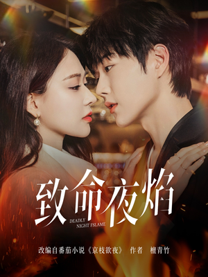 致命夜焰(80集) 致命夜焰(80集)全集免费