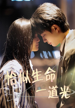 恰似生命一道光（60集） 短剧追不停