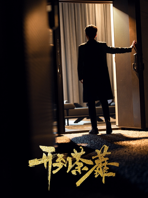 开到荼靡（41集） 全剧看到大结局