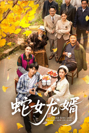 不负韶华不负卿（52集） 精彩好看的短剧