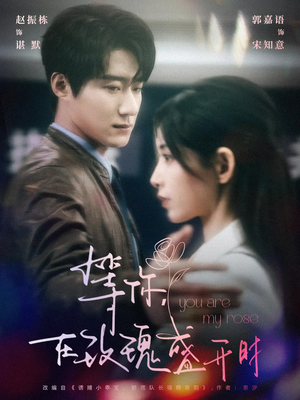 等你在玫瑰盛开时（80集） 精彩好看短剧