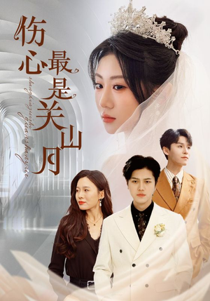 伤心最是关山月（82集）剧情简介