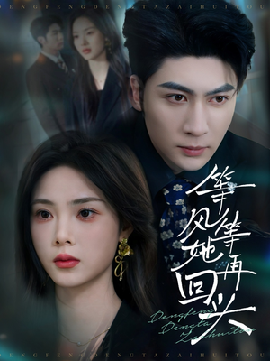 等风等她再回头（80集）免费看全网短剧