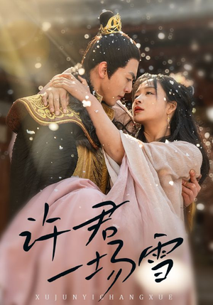 许君一场雪（43集）360网盘观看