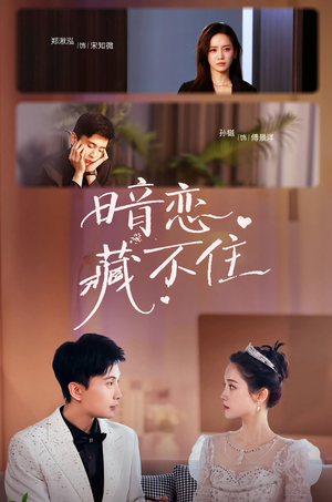 暗恋藏不住（25集）热门短剧又来了