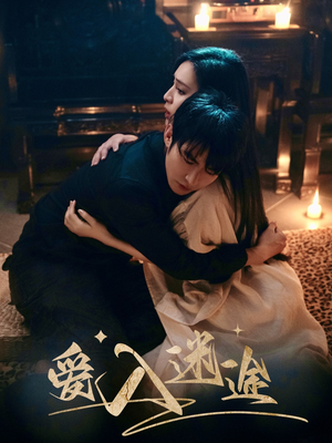 爱入迷途（67集）在线免费观影