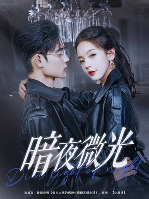 暗夜微光（86集）短剧免费看全集