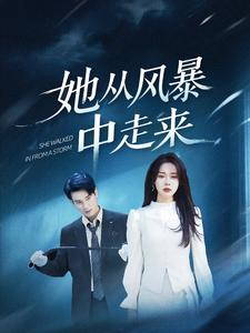她从风暴中走来(60集) 她从风暴中走来(60集)全集我都看完了