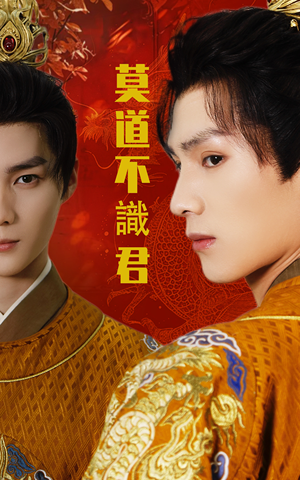 莫道不识君（63集）热门短剧大全