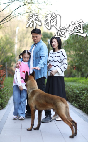 养狗应有道（60集）每天分享短剧