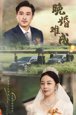 晚婚难成（60集）精彩不断免费看