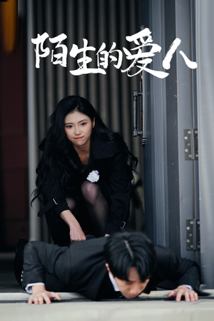 陌生的爱人(60集) 陌生的爱人(60集)怎么看全集