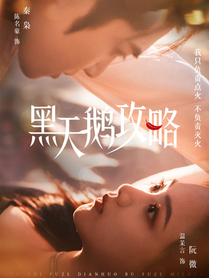 黑天鹅攻略（65集）完整版