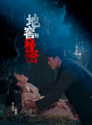 地窖的秘密（40集）热播短剧免费看