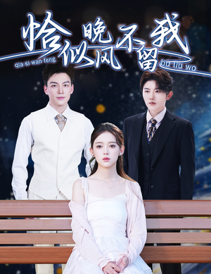 弃他如风（51集）免费观看完整版