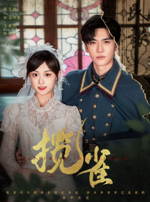 揽雀(61集) 揽雀(61集)不用花钱看全剧