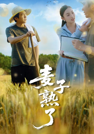 麦子熟了（52集）我真的爱了