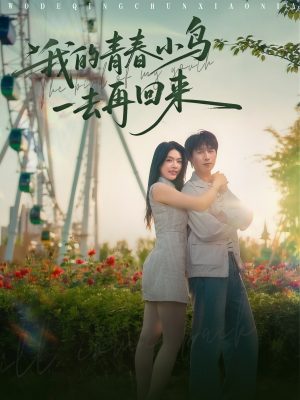 我的青春小鸟一去再回来(95集) 我的青春小鸟一去再回来(95集)完整版