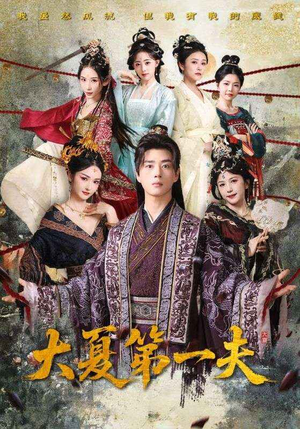 大夏第一夫(90集) 大夏第一夫(90集)全网独播免费看