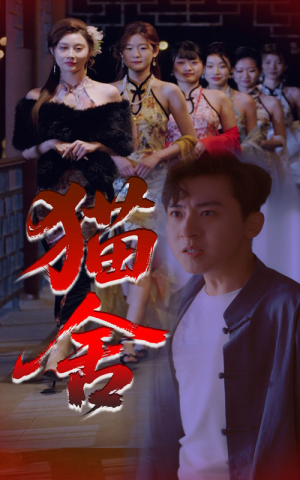 猫舍（34集）热播短剧追不停