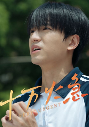 十万火急（30集）短剧太精彩了