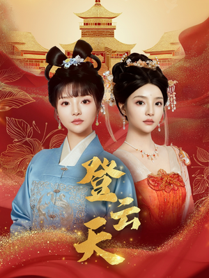 登云天（78集）经典老剧免费看