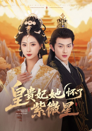 皇贵妃她怀了紫薇星（80集）短剧热播推荐