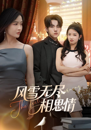 风雪无尽相思情（61集）今日短剧分享
