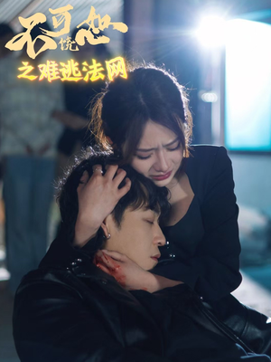 不可饶恕之难逃法网（20集）精彩的短剧
