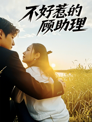 不好惹的顾助理（67集）独家内容免费看