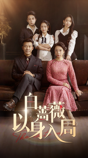 白蔷薇以身入局（82集）流畅播放免费看