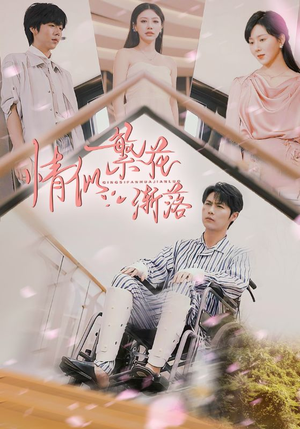 情似繁花渐落（62集）短剧视频分享