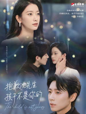 抱歉沈先生孩子不是你的（45集）在线看免费版