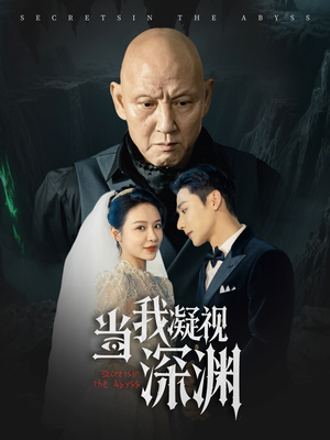 当我凝视深渊（72集）免费观看
