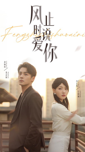 风止时说爱你(70集) 风止时说爱你(70集)热门火爆短剧