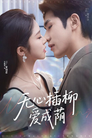 无心插柳爱成荫（50集）一共多少集