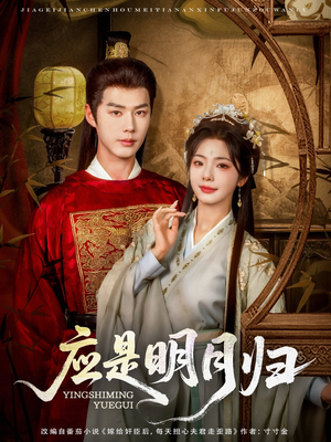 应是明月归（93集）排行榜前十短剧