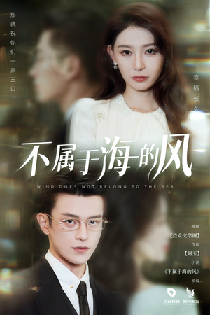 不属于海的风（40集）一口气追完全集