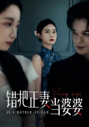 错把正妻当婆婆（46集）短剧精彩片段