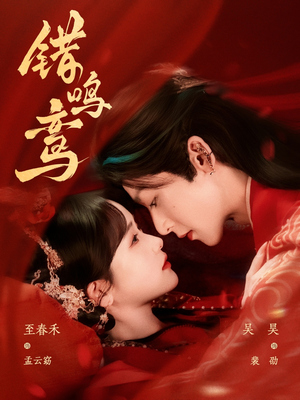 错鸣鸾（75集）热播短剧来袭