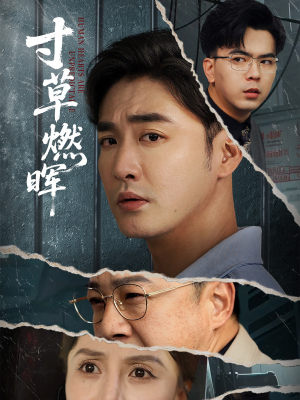 寸草燃晖（70集）精彩热门短剧